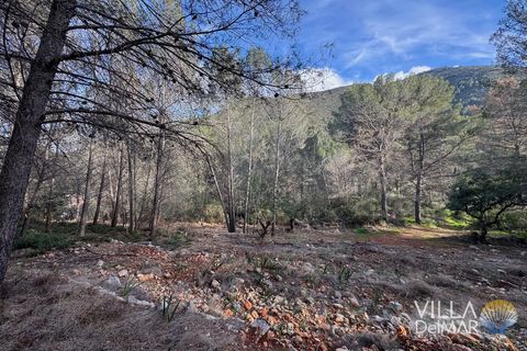 Helårsgrund i Jalon, Alicante, Jalon - € 210.000 | Ref: P-601 - foto 10
